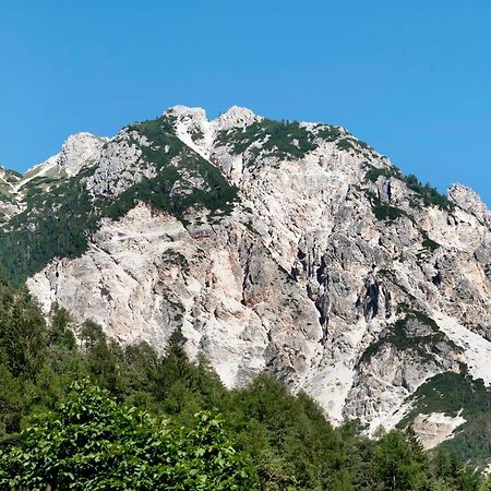 Apartments Armeri Blue Dolomites Сан-Віджиліо-ді-Мареббе Екстер'єр фото